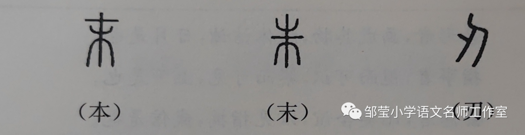 形声字和会意字的区别_会意与形声字的区别_会意和形声的区别和联系