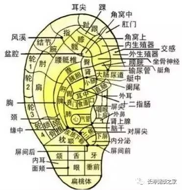 耳朵大有福是什么意思_耳朵大有福是真的吗_耳朵大有福高清版字幕