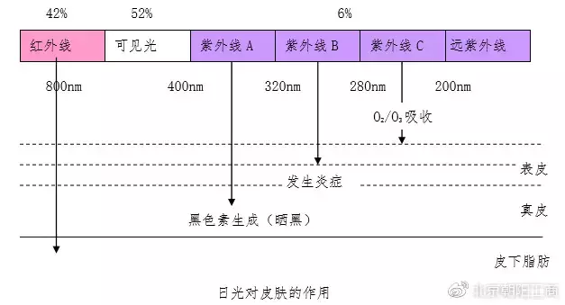 锦纶是什么纤维_锦纶和聚酯纤维哪个防晒效果好_聚酯纤维板与玻璃纤维吸音棉