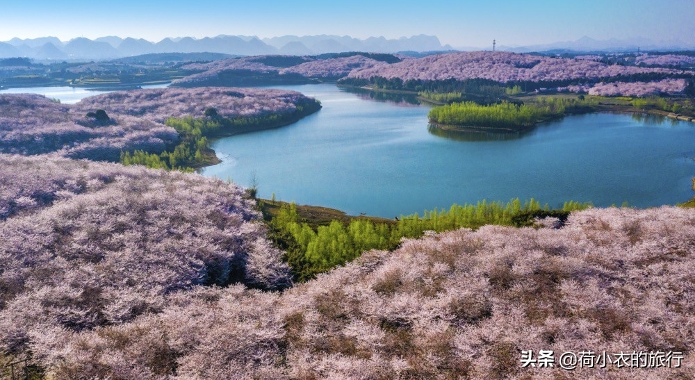 坐几号线去玉渊潭公园_去玉渊潭公园坐地铁怎么走_距离玉渊潭公园最近的地铁