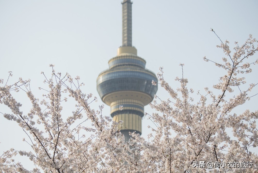 距离玉渊潭公园最近的地铁_去玉渊潭公园坐地铁怎么走_坐几号线去玉渊潭公园