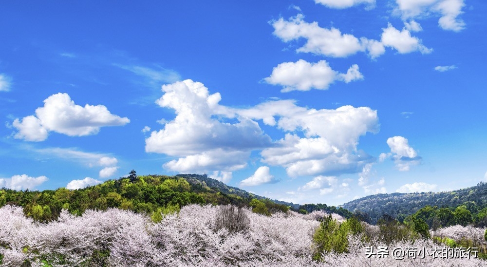 距离玉渊潭公园最近的地铁_去玉渊潭公园坐地铁怎么走_坐几号线去玉渊潭公园