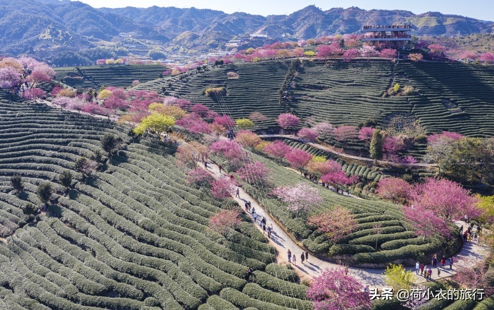 距离玉渊潭公园最近的地铁_去玉渊潭公园坐地铁怎么走_坐几号线去玉渊潭公园