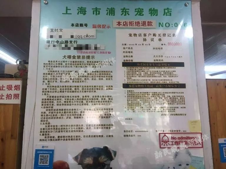 进货宠物渠道店开想要的商品_开宠物店怎么进货_想开个宠物店从哪进货渠道