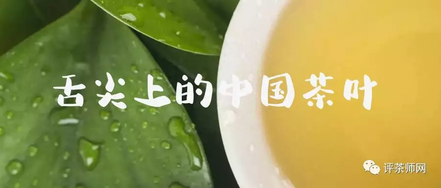 茶铁观音一致的是_铁观音是什么茶_茶叶铁观音是绿茶吗