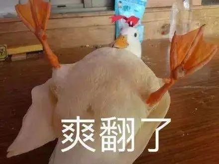 tst冻膜使用方法_冻膜需要洗掉吗_欣兰的冻膜需要敷多久