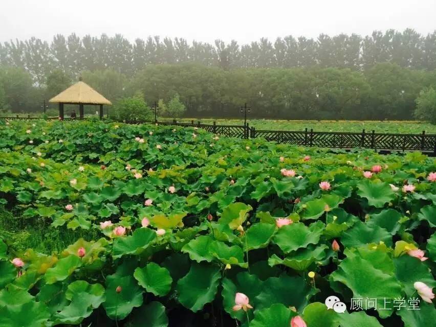 乌镇有哪些好玩的地方_乌镇好玩还是横店好玩_台山周边好玩地方好玩