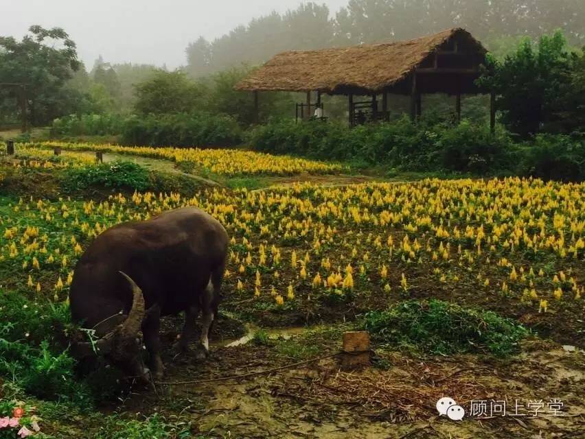 乌镇好玩还是横店好玩_乌镇有哪些好玩的地方_台山周边好玩地方好玩