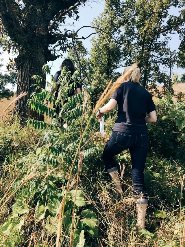 大自然的天然指南针有哪些_天然自然形成根艺图片_关于天然指南针的手抄报