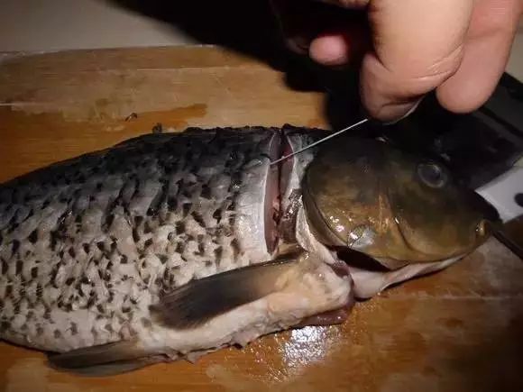 去除腥味鱼手上的味道_去除手的鱼腥味_手上鱼腥味怎么去除