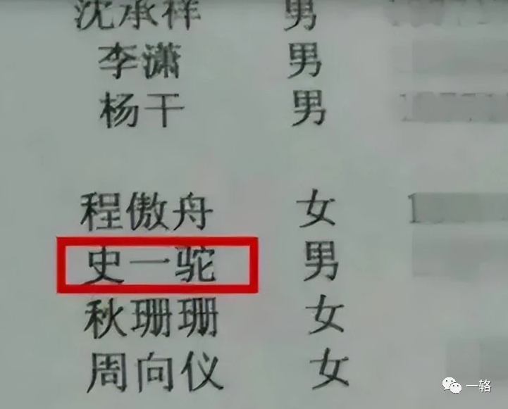 男生名字冷酷冷血代号_霸气代号名字大全女生_适合做代号的名字