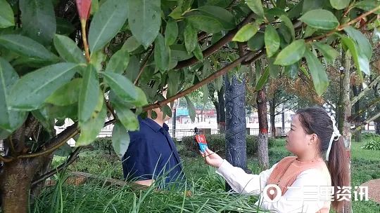 激活苹果时间不对_激活苹果时间查询_苹果激活时间