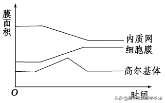 酵母菌是什么核细胞_酵母菌是真核还是原核_酵母菌核生物还是真核生物