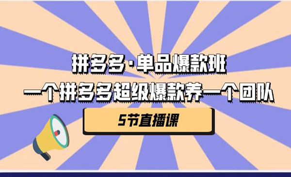 《拼多多单品爆款班》一个拼多多超级爆款养一个团队