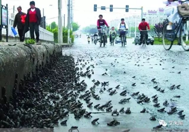 地震前的预兆_地震之前有什么预兆民间预报_地震前的预兆有哪些文字