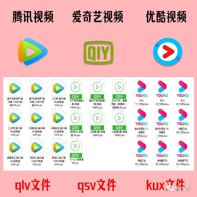 qlv格式用什么播放器_格式播放器是格式工厂吗_格式播放器是干嘛的