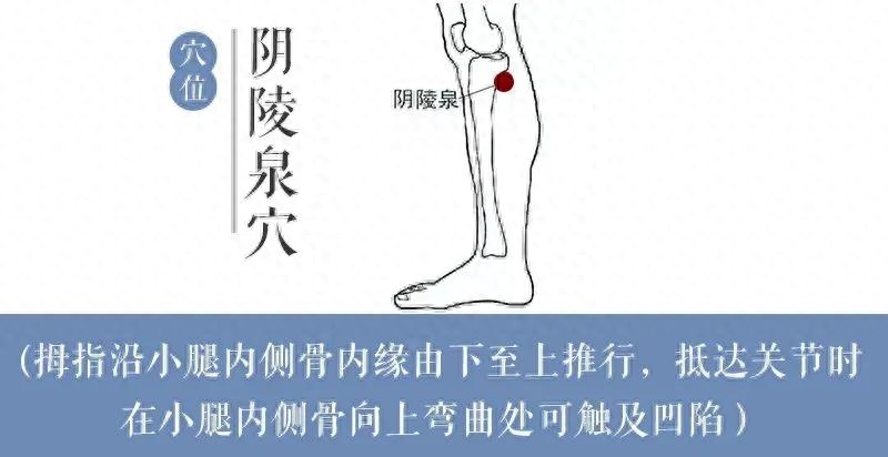 水泡型脚气治疗偏方_脚气水泡型怎么治_水泡治脚气型的药膏