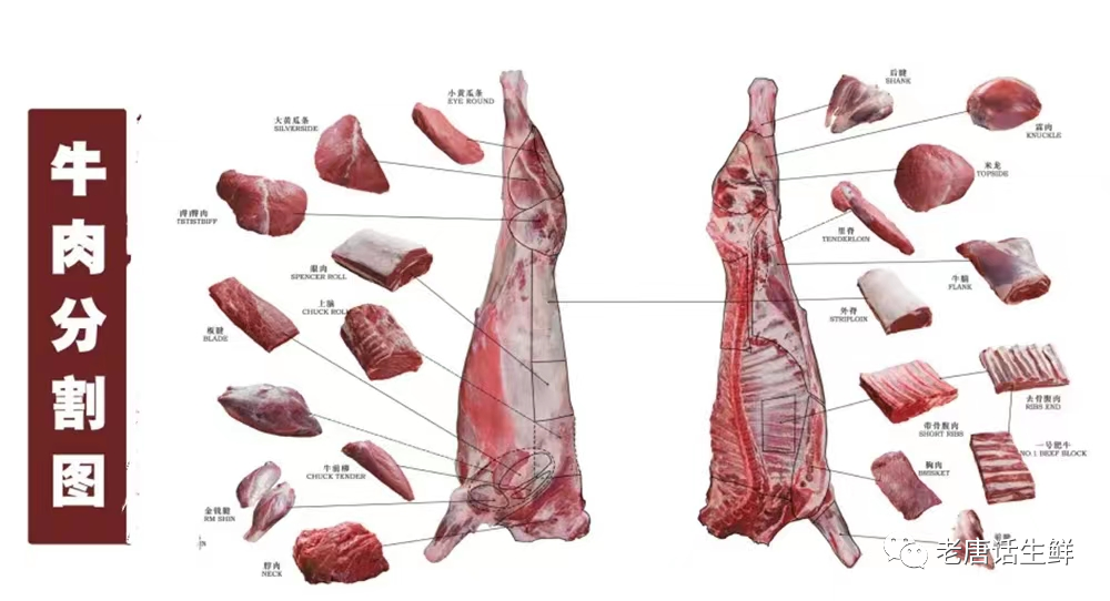 牛肉上脑肉是哪个部位的肉_牛肉上脑是什么部位的肉_牛肉上脑是哪个部位啊