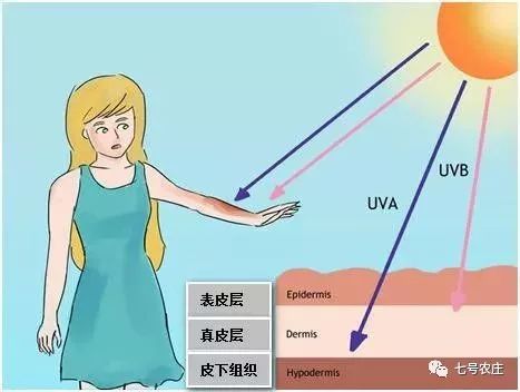 防晒倍数的区别_防晒倍数是什么_防晒倍数30和50有什么区别