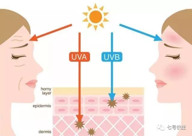 防晒倍数30和50有什么区别_防晒倍数的区别_防晒倍数是什么