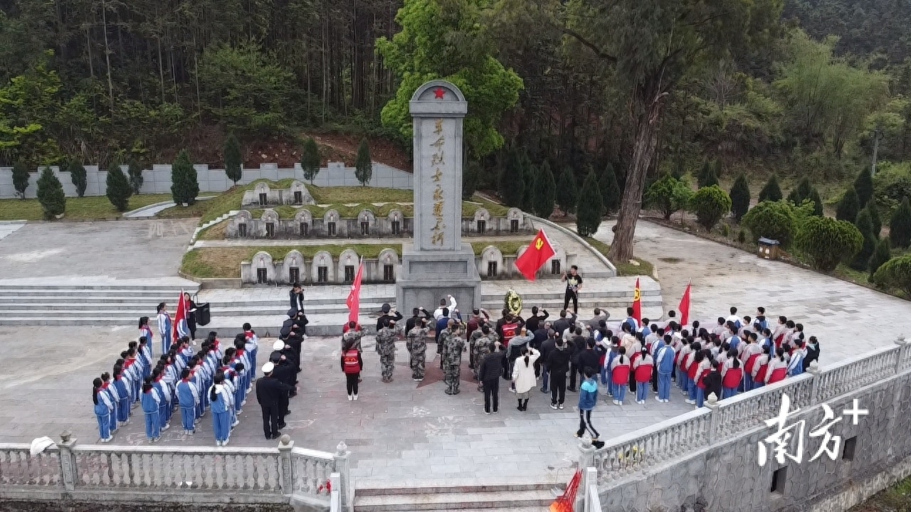 清明扫墓用什么花_清明节扫墓用花_清明扫墓用什么花几朵