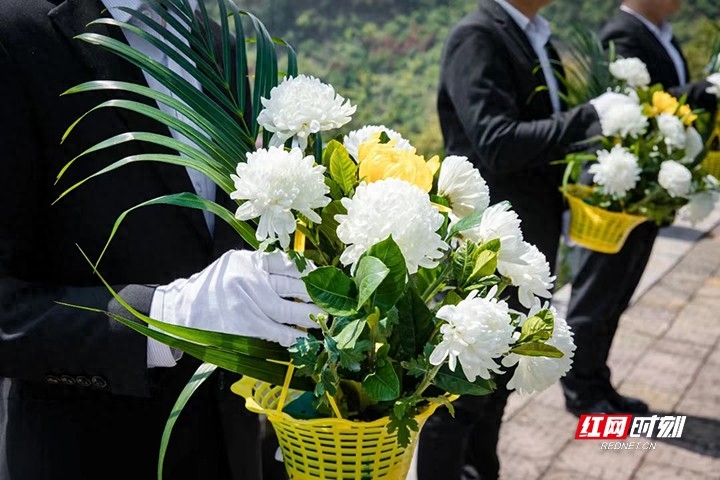 清明扫墓用花用哪些花_清明扫墓用鲜花还是绢花_清明扫墓用什么花