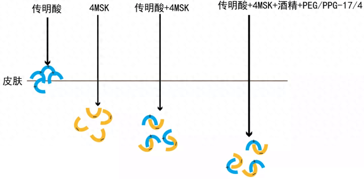 双丙甘醇在化妆品中的作用与功效_甘草的功效和作用_甘草果功效和作用