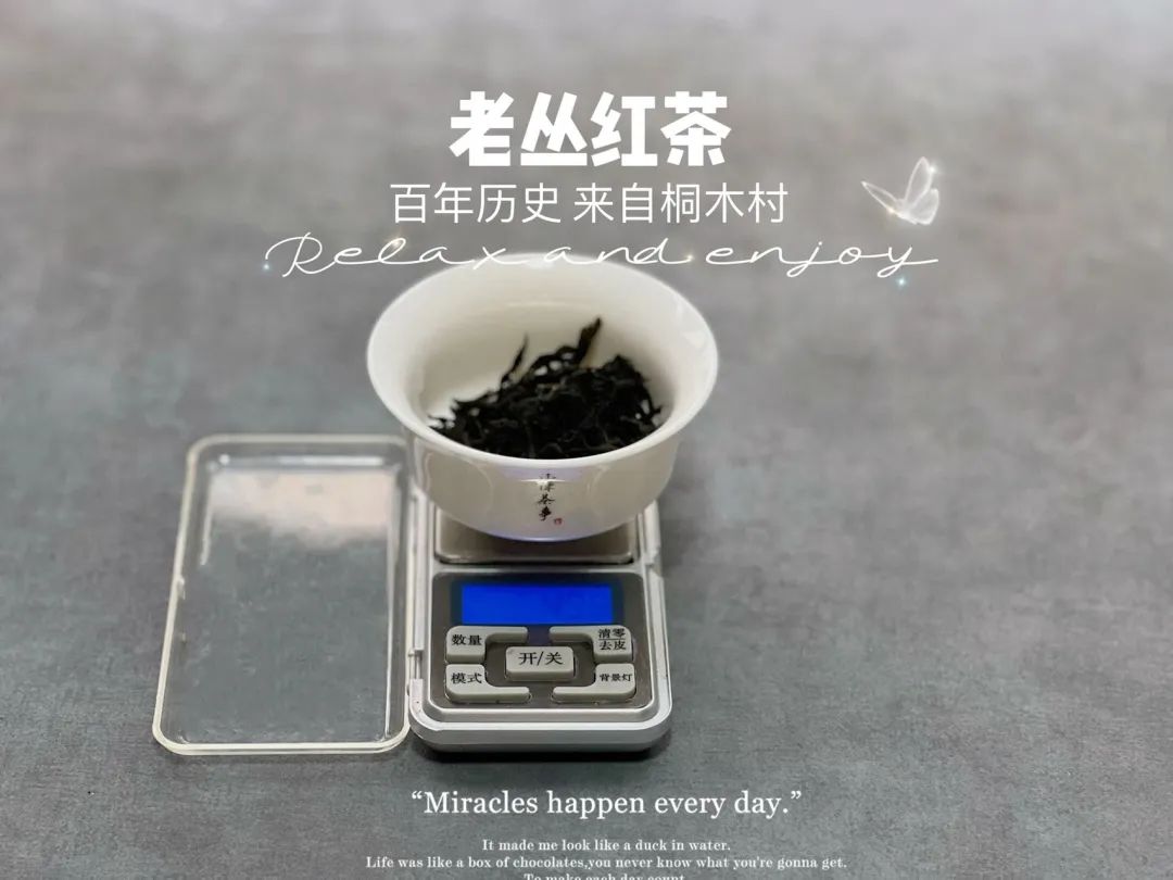 泡红茶的水温_泡红茶的水温多少度_冲泡红茶水温