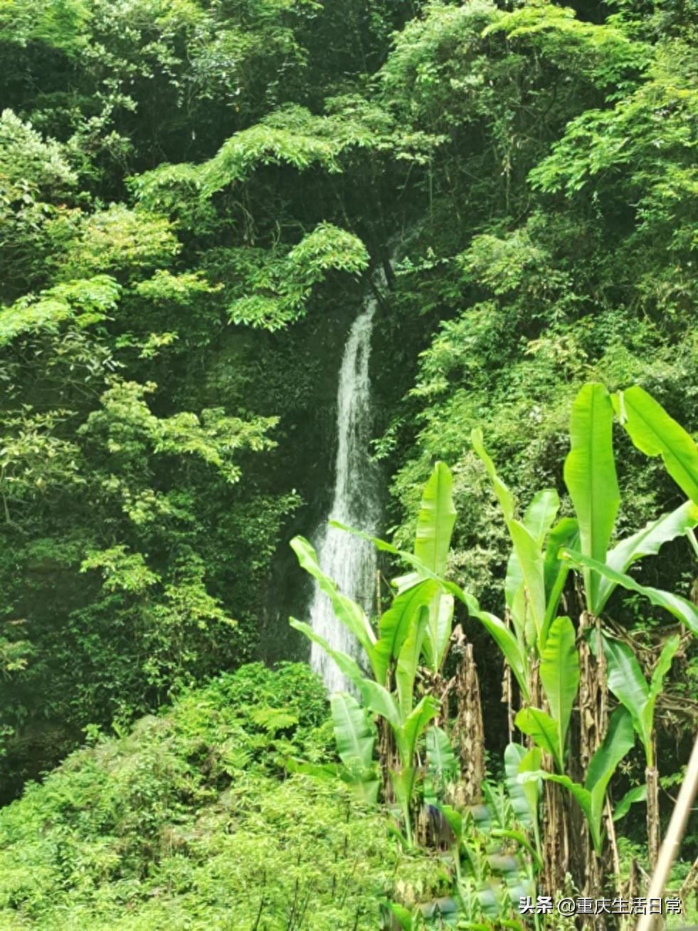 仙女山武隆印象演出时间_仙女山武隆旅游攻略_武隆仙女山