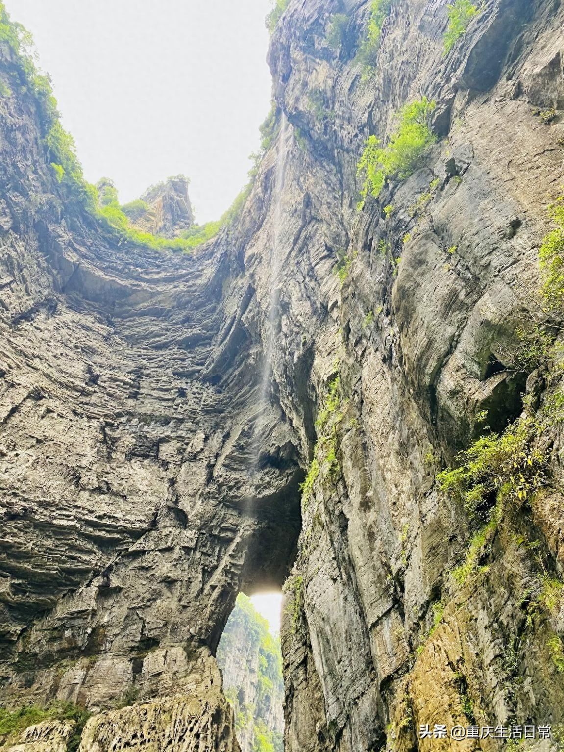 武隆仙女山_仙女山武隆印象演出时间_仙女山武隆旅游攻略