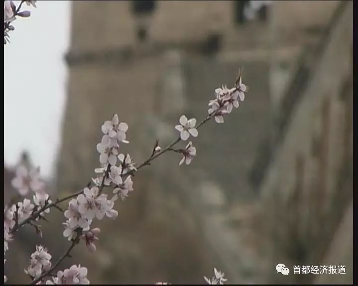 八达岭古长城旅游攻略_八达岭古长城_八达岭古长城自然风景区