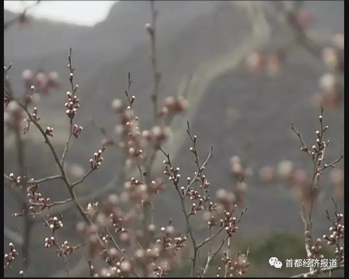 八达岭古长城旅游攻略_八达岭古长城_八达岭古长城自然风景区