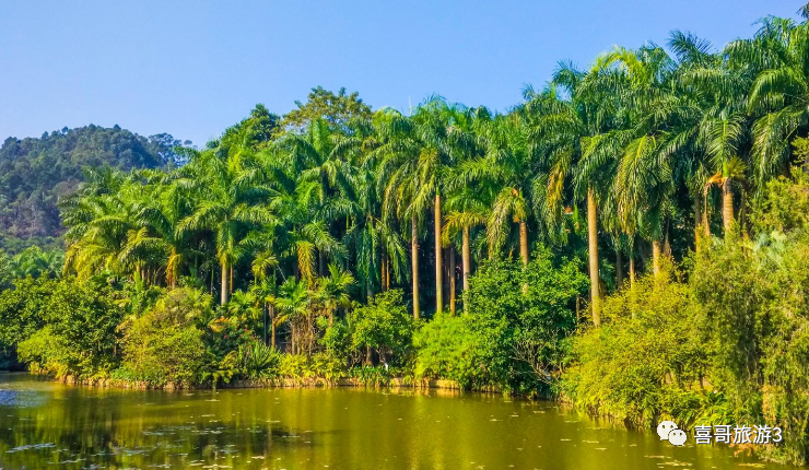 广州的旅游景点_广州景点旅游攻略_广州旅游景点排名榜