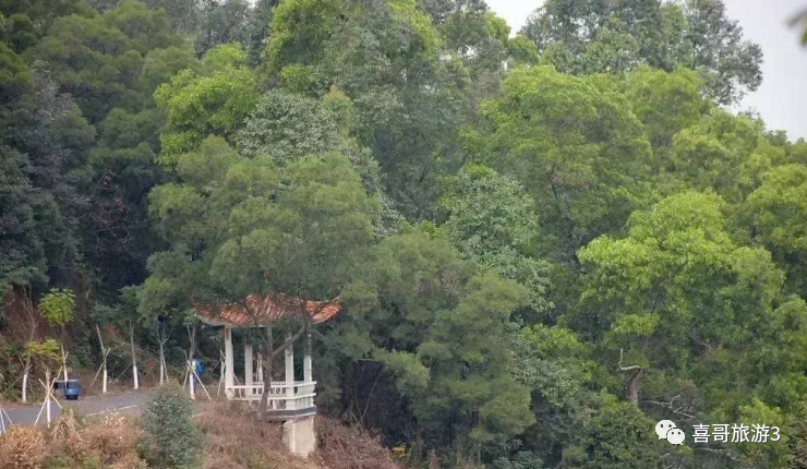 广州景点旅游攻略_广州旅游景点排名榜_广州的旅游景点