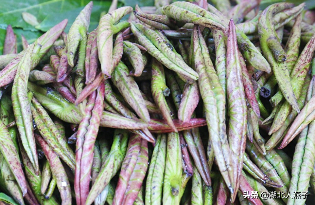 春季野菜_春季野菜大全100种_春季野菜大全