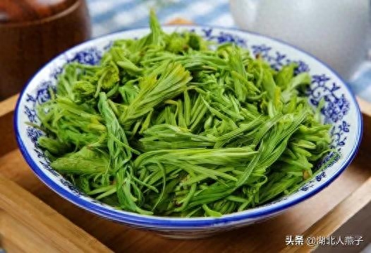 春季野菜大全100种_春季野菜_春季野菜大全