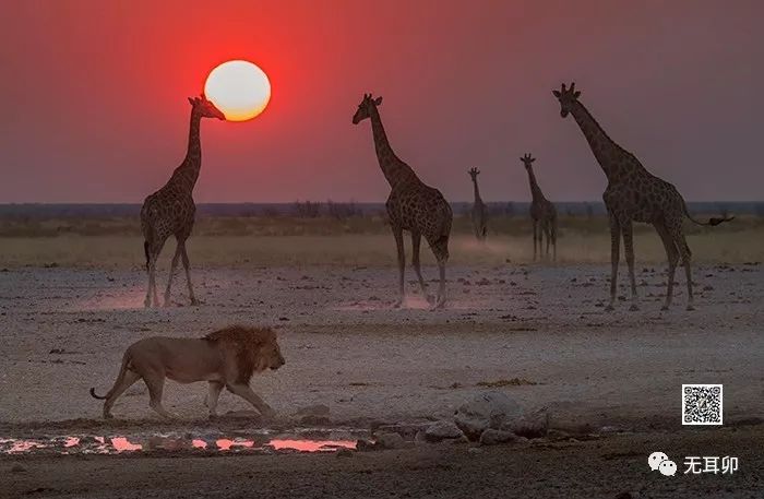 晚霞和夕阳的区别_晚霞和夕阳的区别_晚霞和夕阳的区别