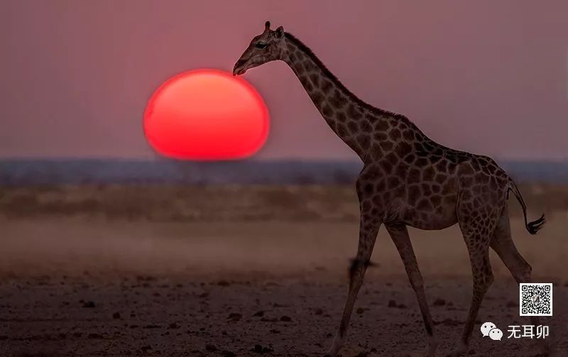 晚霞和夕阳的区别_晚霞和夕阳的区别_晚霞和夕阳的区别