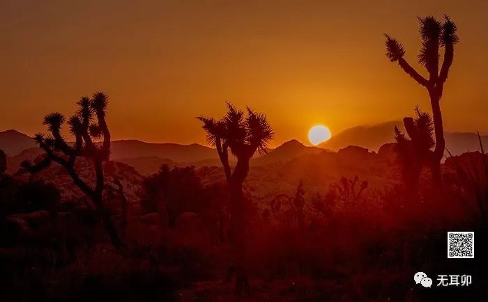 晚霞和夕阳的区别_晚霞和夕阳的区别_晚霞和夕阳的区别