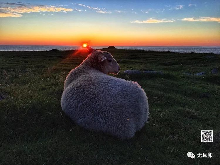 晚霞和夕阳的区别_晚霞和夕阳的区别_晚霞和夕阳的区别