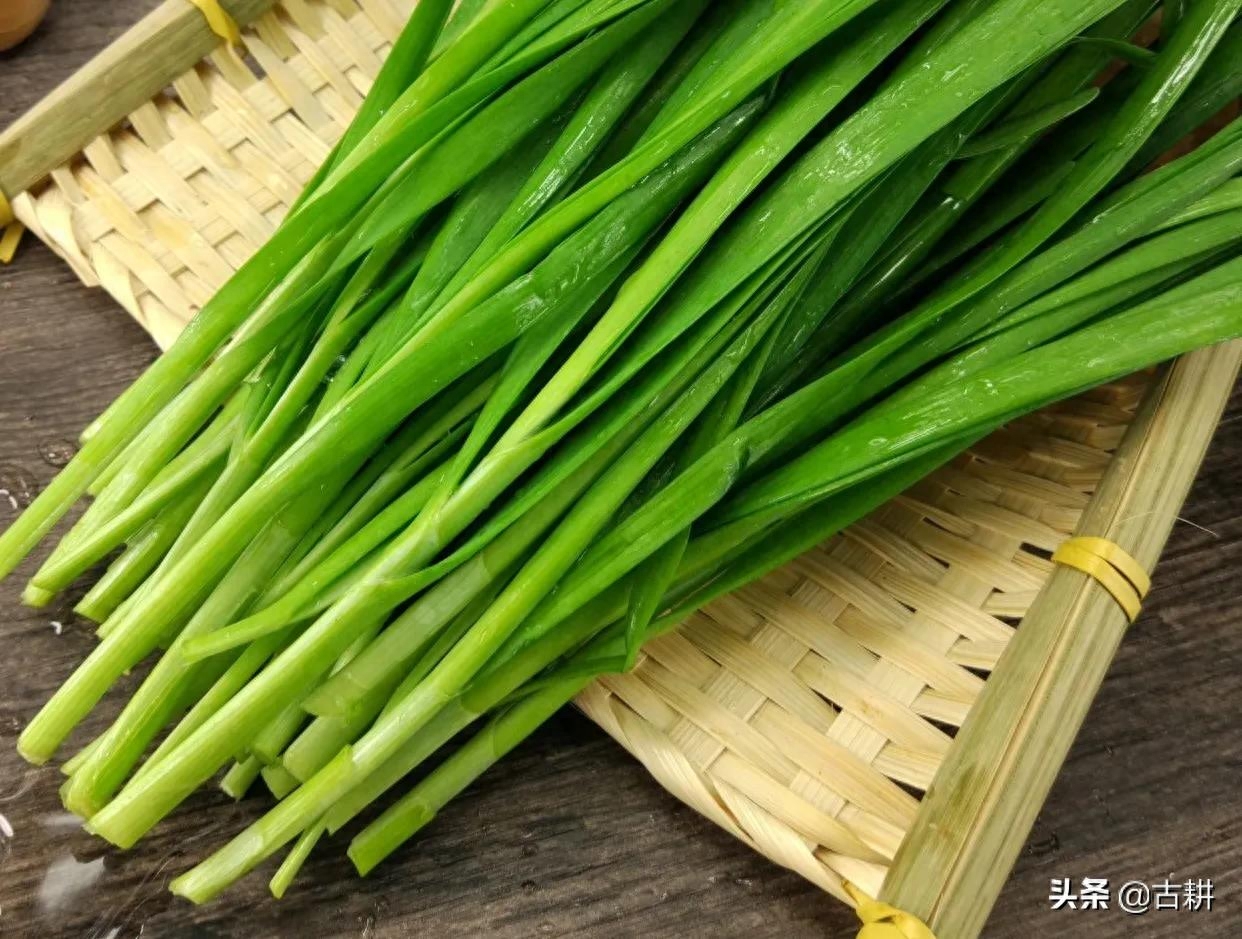 芒果肉黑色能吃吗_芒果肉里有黑色的丝能吃吗_芒果果肉黑色的丝可以吃吗