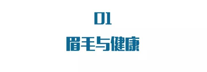 有一根眉毛长得很长有什么预兆吗?_眉毛有长眉毛好不好_长有眉毛预兆得什么病