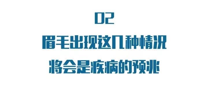 有一根眉毛长得很长有什么预兆吗?_眉毛有长眉毛好不好_长有眉毛预兆得什么病