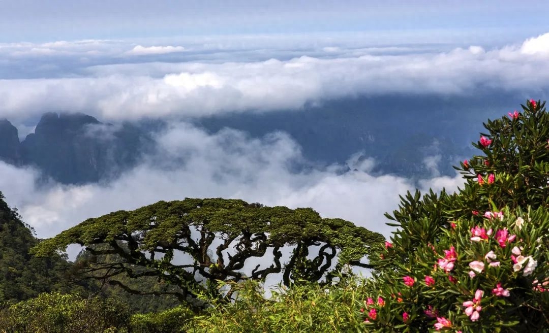 广西旅游玩去哪里最好_广西旅游必去_去广西旅游怎么玩