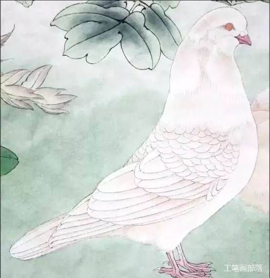 鸽子画法简笔画_鸽子画法简单又漂亮_鸽子画法