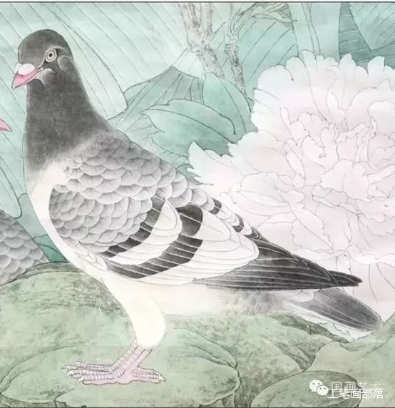 鸽子画法简单又漂亮_鸽子画法简笔画_鸽子画法