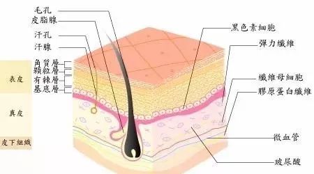 精华乳液用完要洗脸吗_精华和乳液用完要洗掉么_先精华后乳液还是先乳液后精华