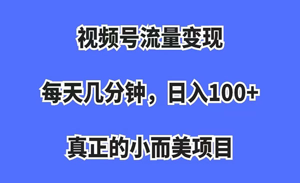 视频号流量变现，每天几分钟，收入100+，真正的小而美项目