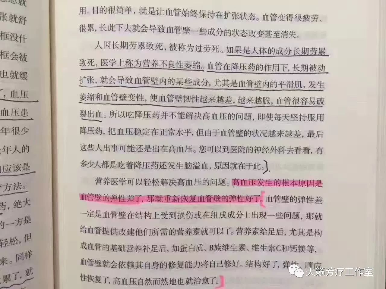 什么牌子的胶原蛋白肽效果好_蛋白肽和胶原蛋白肽有什么区别_蛋白胶原蛋白肽是不是传销