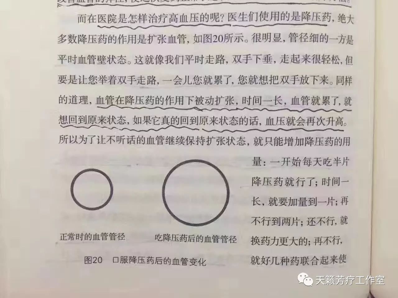 蛋白肽和胶原蛋白肽有什么区别_什么牌子的胶原蛋白肽效果好_蛋白胶原蛋白肽是不是传销